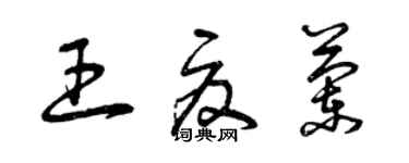 曾慶福王夏蘭草書個性簽名怎么寫