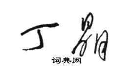 駱恆光丁晶草書個性簽名怎么寫