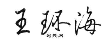 駱恆光王環海行書個性簽名怎么寫