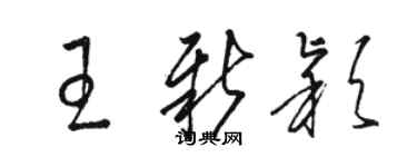 駱恆光王新穎草書個性簽名怎么寫