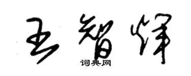 朱錫榮王智輝草書個性簽名怎么寫