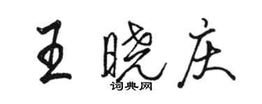 駱恆光王曉慶行書個性簽名怎么寫