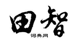 胡問遂田智行書個性簽名怎么寫