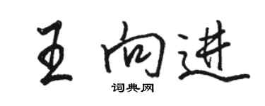 駱恆光王向進行書個性簽名怎么寫
