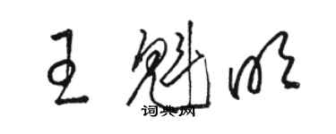 駱恆光王魁明草書個性簽名怎么寫