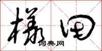 曾慶福樣田草書怎么寫