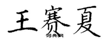 丁謙王賽夏楷書個性簽名怎么寫