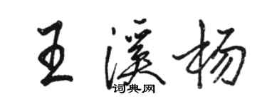 駱恆光王溪楊行書個性簽名怎么寫