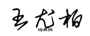 朱錫榮王尤柏草書個性簽名怎么寫