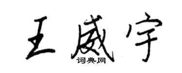 王正良王威宇行書個性簽名怎么寫