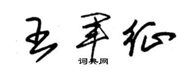朱錫榮王軍征草書個性簽名怎么寫