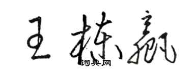 駱恆光王棟贏草書個性簽名怎么寫