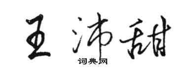 駱恆光王沛甜行書個性簽名怎么寫