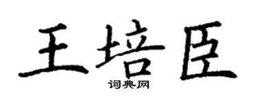 丁謙王培臣楷書個性簽名怎么寫