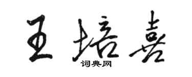 駱恆光王培喜行書個性簽名怎么寫