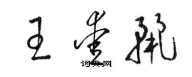 駱恆光王愛麗草書個性簽名怎么寫