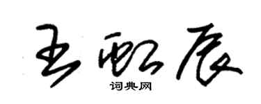朱錫榮王虹辰草書個性簽名怎么寫
