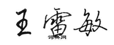 駱恆光王雷敏行書個性簽名怎么寫