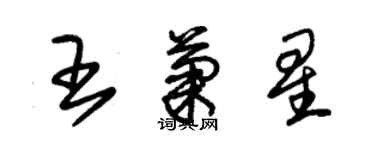 朱錫榮王菊星草書個性簽名怎么寫