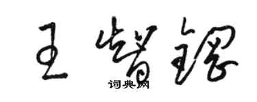 駱恆光王智鋼草書個性簽名怎么寫