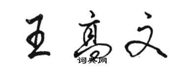 駱恆光王高文行書個性簽名怎么寫