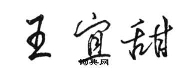 駱恆光王宜甜行書個性簽名怎么寫