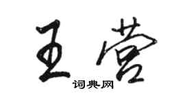 駱恆光王營行書個性簽名怎么寫