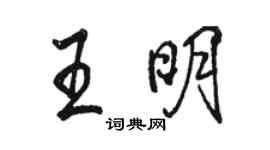 駱恆光王明行書個性簽名怎么寫