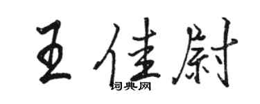 駱恆光王佳尉行書個性簽名怎么寫