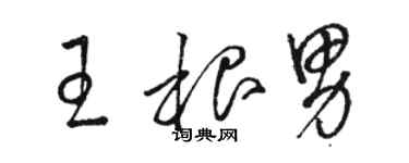 駱恆光王根男草書個性簽名怎么寫