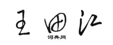 駱恆光王田江草書個性簽名怎么寫