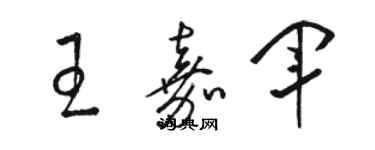 駱恆光王嘉軍草書個性簽名怎么寫
