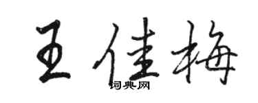 駱恆光王佳梅行書個性簽名怎么寫