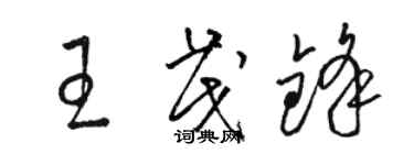 駱恆光王茂鋒草書個性簽名怎么寫