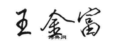 駱恆光王金富行書個性簽名怎么寫