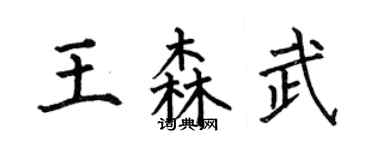 何伯昌王森武楷書個性簽名怎么寫