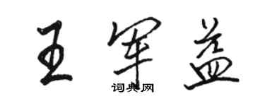 駱恆光王軍益行書個性簽名怎么寫