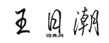 駱恆光王日潮行書個性簽名怎么寫