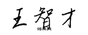 王正良王智才行書個性簽名怎么寫
