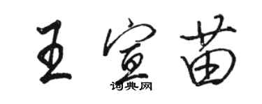 駱恆光王宣苗行書個性簽名怎么寫