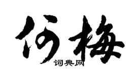 胡問遂何梅行書個性簽名怎么寫