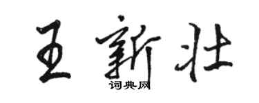 駱恆光王新壯行書個性簽名怎么寫