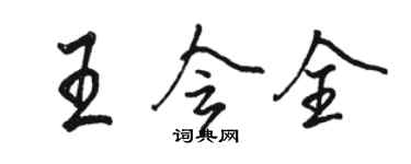 駱恆光王會全行書個性簽名怎么寫