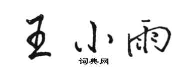 駱恆光王小雨行書個性簽名怎么寫