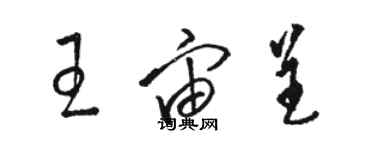 駱恆光王宙呈草書個性簽名怎么寫