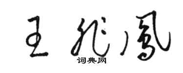 駱恆光王非鳳草書個性簽名怎么寫