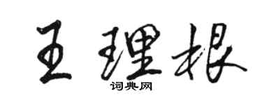 駱恆光王理根行書個性簽名怎么寫