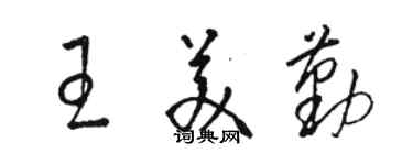 駱恆光王美勤草書個性簽名怎么寫