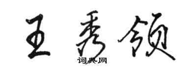 駱恆光王秀領行書個性簽名怎么寫