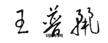 駱恆光王普麗草書個性簽名怎么寫